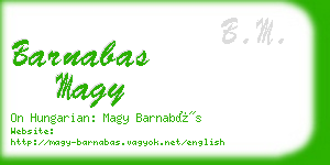 barnabas magy business card